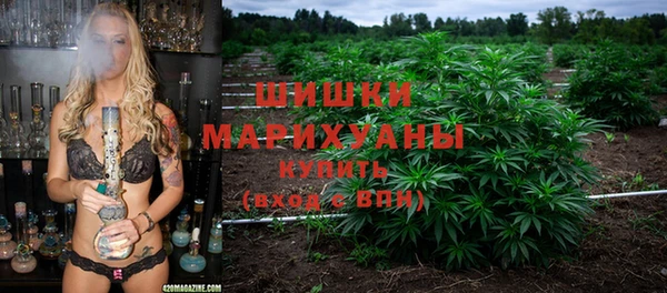 PSILOCYBIN Абаза