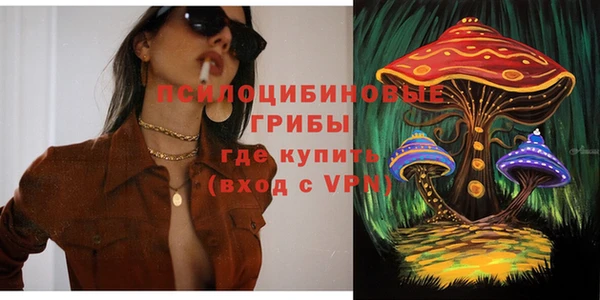 СК Алексеевка