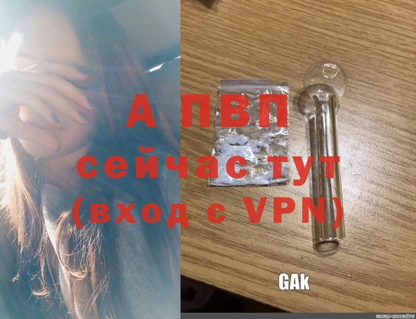 герыч Алексин