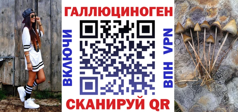 Псилоцибиновые грибы Cubensis Карачев